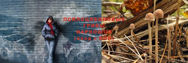 apvp Новосибирск