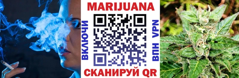 Бошки марихуана ГИДРОПОН  Фокино 